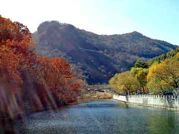 澳门二四六天天彩图库，鬼叫声